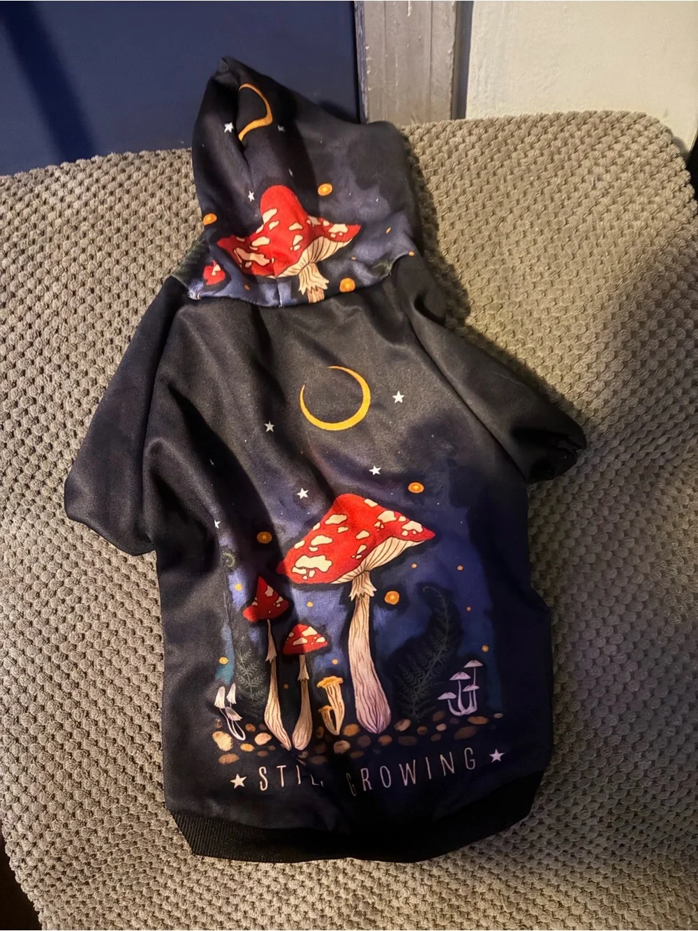 Mushroom Moon Graphic Hoodie - Black with Red Accent